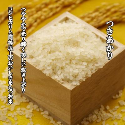ふるさと納税 宝達志水町 米 令和6年 つきあかり 精米 10kg ×2袋 計20kg [中橋商事 石川県 38600967] |  | 02