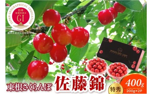 【2027年産】GI東根さくらんぼ 佐藤錦200g×2P 特秀 L以上 山形県 東根市 千笑花夢提供 hi082-062-r9 さくらんぼ 期間限定 先行予約 ご当地 特産 産地 直送 人気