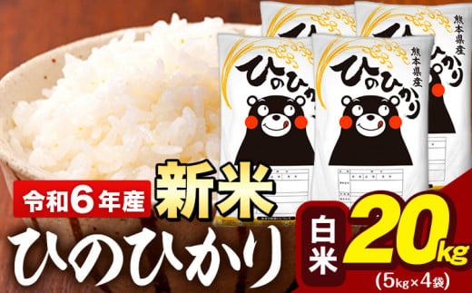 新米 令和6年産 早期先行予約受付中 白米 米 ひのひかり 20kg (5kg袋×4)《11月-12月頃出荷予定》熊本県 大津町 国産 熊本県産 白米 精米 送料無料 ヒノヒカリ こめ お米