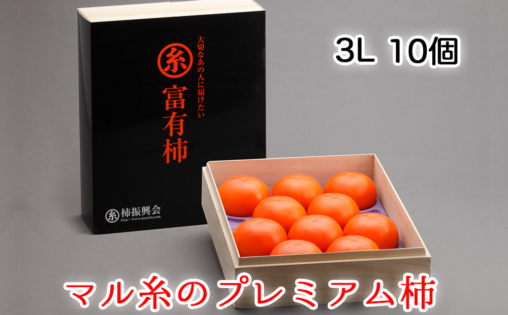 
            【先行予約】令和7年産《柿の王様》マル糸 の 富有柿 プレミアム 3L サイズ ( 10個入 ) 11月より発送予定 [mt191]｜かき 富有柿 ふゆうがき フルーツ カキ 果物 くだもの 産地直送 岐阜県 本巣市 
          