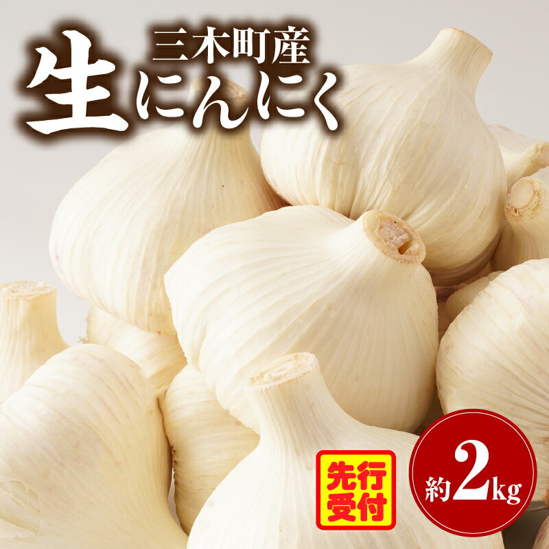 【ふるさと納税】三木町産 生にんにく 約2kg にんにく ガーリック 肉厚 野菜 食材 国産 国産にんにく 薬味 調味 スタミナ 料理 贈答 贈り物 ギフト おすそ分け ストック 生鮮食品 食品 グルメ お取り寄せ おすすめ 特産 特産品 人気 自宅用 家庭用 香川県 三木町 送料無料
