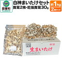 【ふるさと納税】白神まいたけセット（舞茸2株、乾燥舞茸30g）約1kg