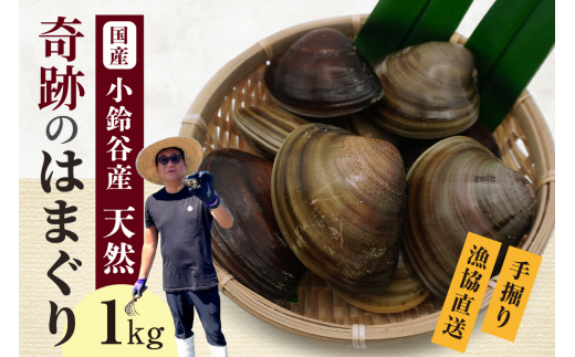 
                  【奇跡のはまぐり】小鈴谷産天然はまぐり1kg│はまぐり 海鮮 魚 貝 漁協直送 手掘り 小鈴谷産 天然はまぐり ハマグリ 蛤 縁起物 酒蒸し 蒸し 焼き 愛知県 常滑市
                