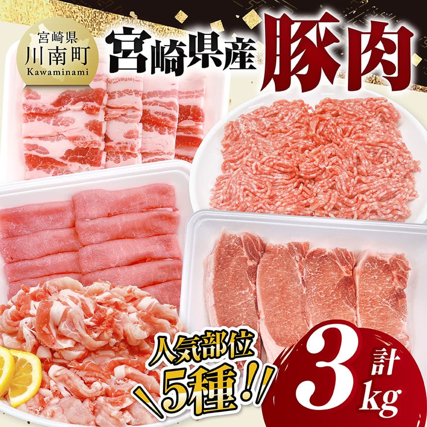 宮崎県産豚肉5種　3kg  豚肉 ぶた肉 肉 ロース バラ 切り落とし ミンチ 焼肉用 豚肉セット