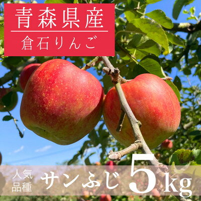 【ふるさと納税】【青森県産】サンふじ 約5kg【配送不可地域：離島・沖縄県】【1260413】