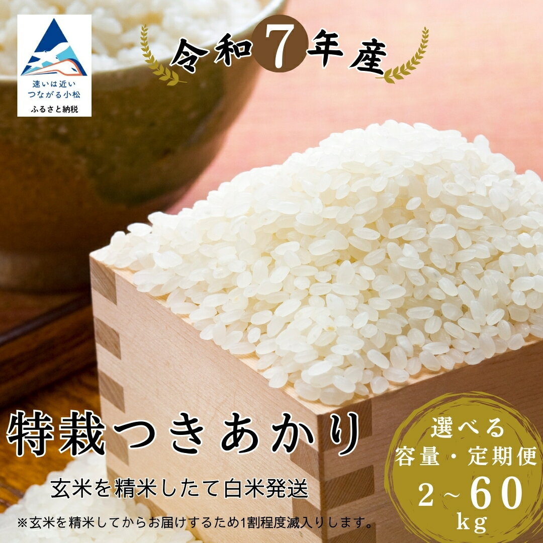 【ふるさと納税】特栽つきあかり 玄米 選べる 2kg / 5kg / 10kg / 定期便 精米したて白米発送 お米 米 白米 2キロ 5キロ 10キロ 石川県 小松市 【のむら農産】016057