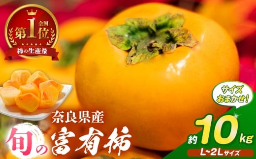 旬の富有柿 サイズおまかせ L～２L 約 10kg  |  大人気 人気 富有 柿 かき フルーツ 果物 奈良県 五條市 なかにし農園 ギフト おすすめ 11月 発送 カキ 秋の味覚 旬 甘い 大容量 農家直送 産地直送 グルメ お取り寄せ 送料無料  食物繊維 豊富 美容 健康 低農薬 有機質肥料 | 奈良県 五條市