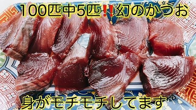 もちもち食感ビリかつお刺身300gｘ2節