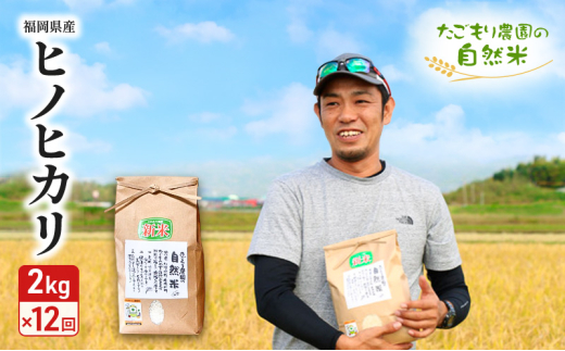 定期便 12ヶ月 米 たごもり農園の自然米 ヒノヒカリ 2kg 小郡産 栽培期間中 農薬不使用 お米 コメ 精米 12回 お楽しみ