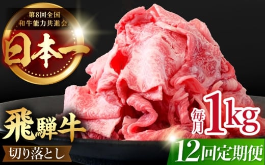 【 12回 定期便 】【 飛騨牛 】 切り落とし 総計 12kg 〈 1回あたり 〉1kg  ( 250g × 4 )  肉 飛騨牛 和牛 ブランド牛 高級 国産牛 黒毛和牛 ビーフ 牛 牛肉 きりおとし 切り落とし 切り落し / 多治見市 / 肉のひぐち [TDC016]