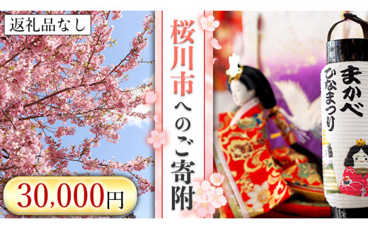 
【返礼品なし】桜川市へのご寄附30,000円[BR003sa]
