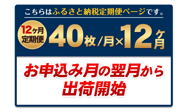 【12ヶ月定期便】訳あり一番摘み有明海産海苔40枚  《お申込み月の翌月から出荷開始》熊本県産（有明海産）全形40枚入り ---fn_noritei_24_64500_40m_mo12num1---