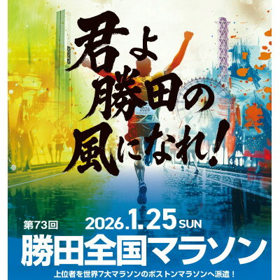 【ふるさと納税】第73回勝田全国マラソン　マラソンの部参加権【1657801】