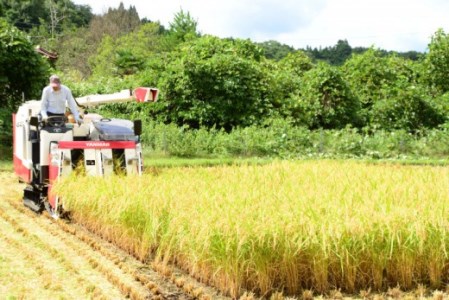 令和7年産 里山新見のめぐみ お米セット（2合×6個）