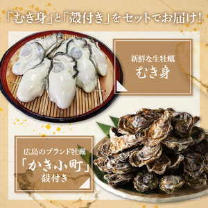 【先行受付】【2025年12月より発送】丸十水産 生牡蠣 特選むき身 400g 殻付き かき小町 約2kg (10～14個) セット ku003-003-25