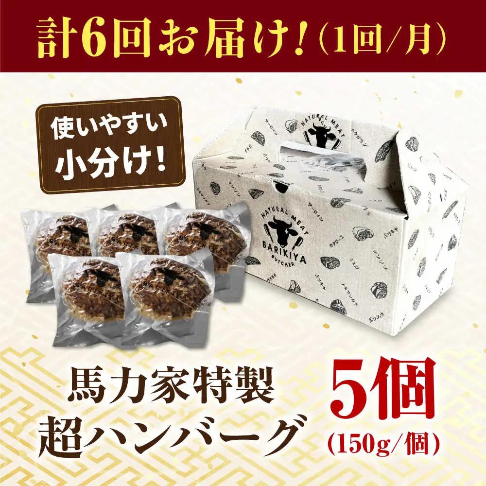 【6回定期便】超ハンバーグ ミニ 5個[AVBO067]ハンバーグ 定期便