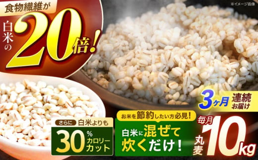 
            【全3回定期便】 長崎県産 丸麦 10kg / 麦 むぎ 雑穀 雑穀米 麦ごはん 麦飯 麦みそ 食物繊維 長崎県産 米 こめ コメ ※ / 諫早市 / 有限会社伊東精麦 [AHBU006]
          