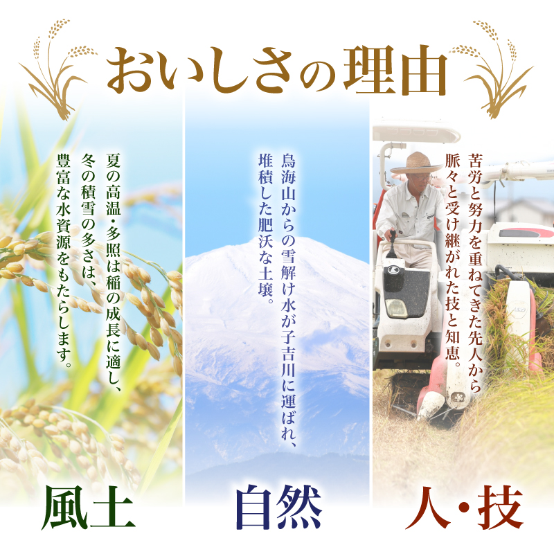 ひとめぼれ 令和7年度産 精米10kg(5kg×2)【精米 白米 米 コメ お米 おこめ ブランド米 ご飯 ごはん 秋田 にかほ】