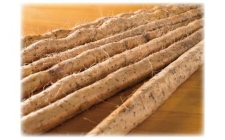 自然薯の味をお楽しみください。自然薯生とろろ100ｇ×５ｐセット