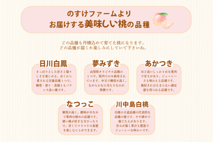 桃 2kg （5～6玉）