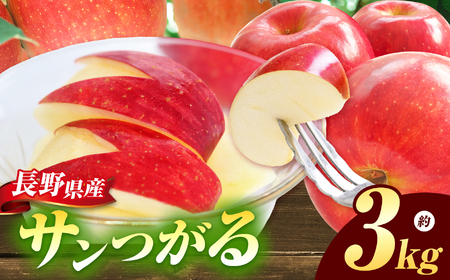 サンつがる 約3kg 【2026年先行予約】 ｜ 浅野農園