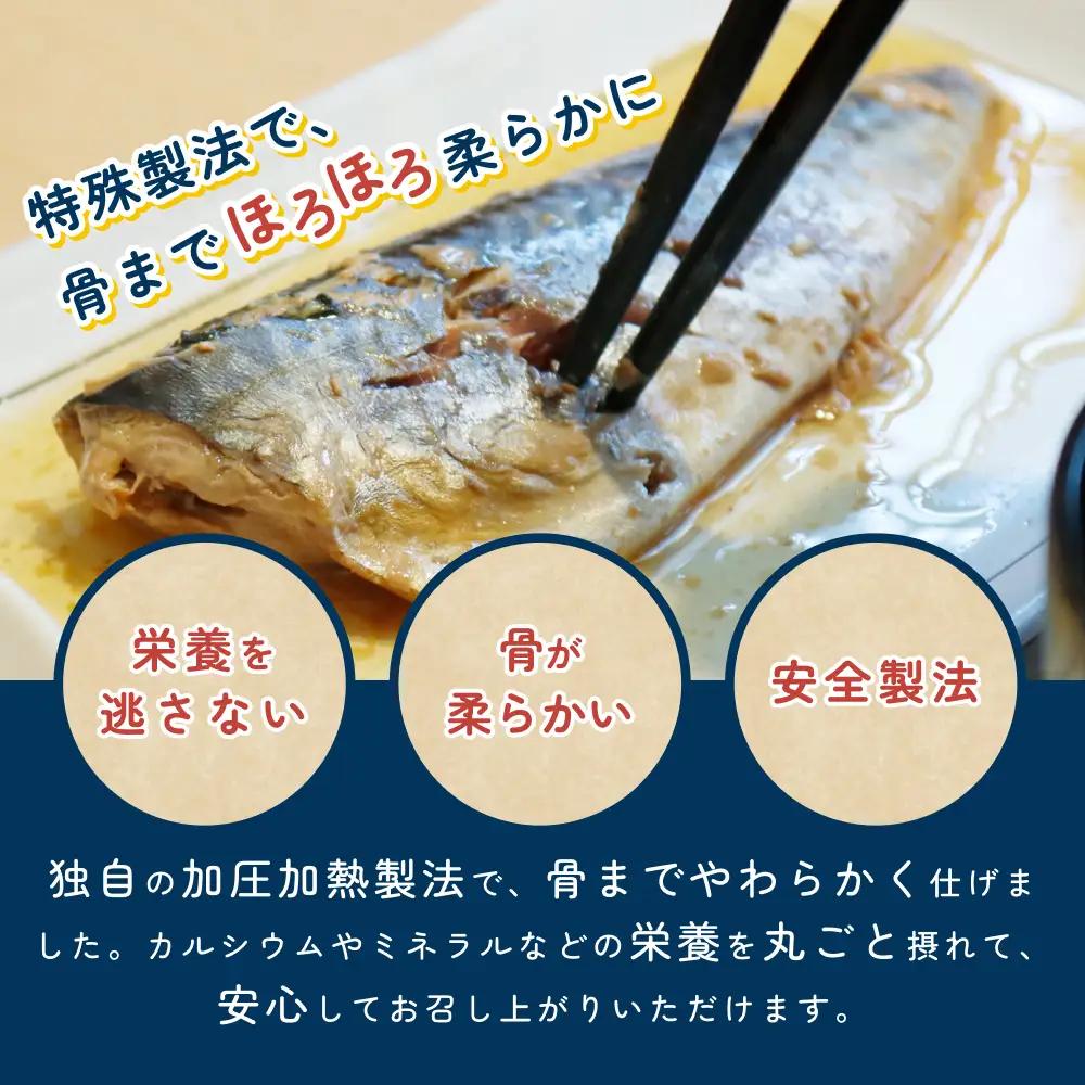骨まで食べられるさかな バラエティ12袋セット（焼煮6種×各2袋）｜鳥取 岩美 魚 焼魚 煮魚 長期保存【24058】