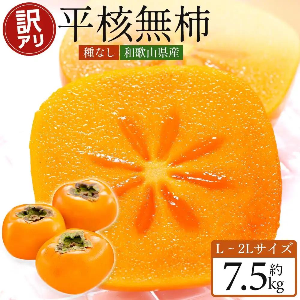 和歌山県産 訳あり 平核無柿 7.5kg L ~ 2L たねなし柿 ［2026年10月上旬～発送］