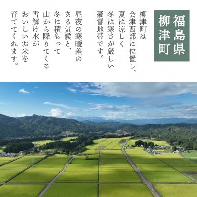 【令和6年産】柳津町産「こしひかり・ゆうだい21」食べ比べ 各5kg〈令和7年2月下旬発送予定〉