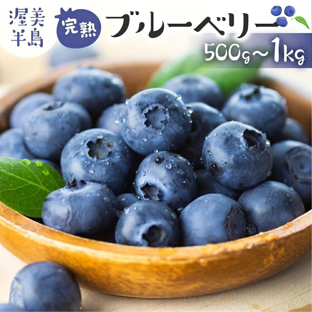 【ふるさと納税】 先行予約 完熟ブルーベリー 500g / 1kg フルーツ 手摘み スイーツ 期間限定 数量限定 入手困難 ジャム 健康 大粒 旬 果物 ブルーベリー ベリー くだもの 厳選 直送 新鮮 お菓子 素材