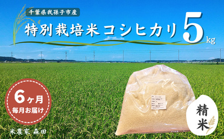 【毎月定期便6回】冷めても美味しい 農家直送 千葉県産 特別栽培米コシヒカリ 5kg×6回 計30kg（精米）