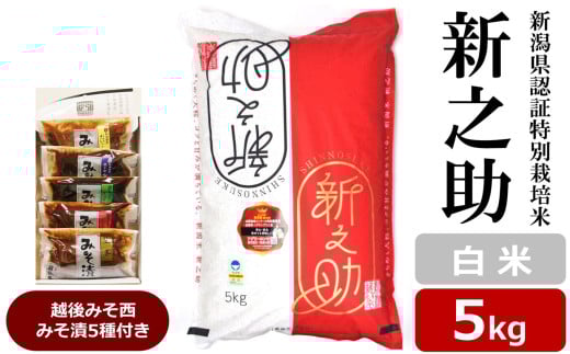 【令和6年産米】新之助 白米 5kg 新潟県認証特別栽培米 ＆ 越後みそ西みそ漬5種セット [Y0519]