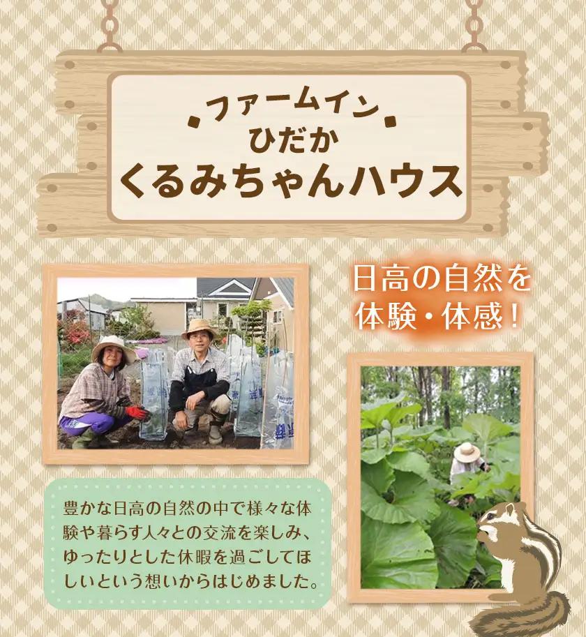 ひだかくるみちゃんハウス 1棟貸切り 宿泊券 1泊 4名様 合同会社うさっぷカンパニー《30日以内に出荷予定(土日祝除く)》北海道 日高町 旅行 宿泊 完全予約制
