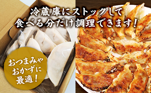 【食感と昆布だしにこだわり】 【2回定期便】お酒によく合う味噌餃子40個(10個×4箱) ※沖縄・離島への配送不可