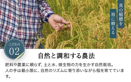 令和8年産先行予約 やくの自然栽培米 イセヒカリ 玄米 5kg ゆたか（ゆたか自然農園）