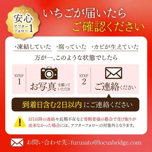 いちご【12月以降発送】朝採れとちあいか 大粒 約270g × 2パック 合計 約540g |イチゴ いちご