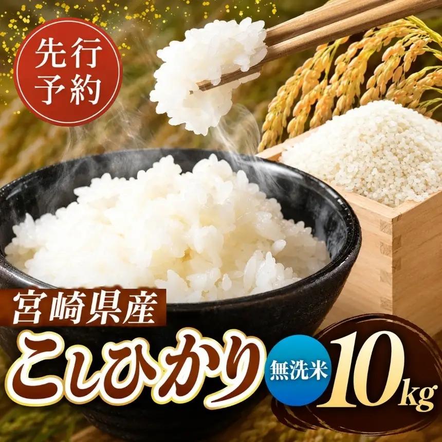令和8年産 こしひかり 10kg （無洗米） 宮崎県産