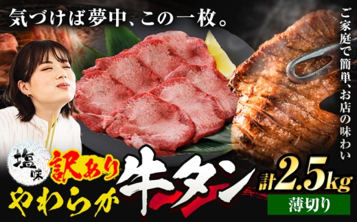 牛タン 薄切り 塩味 2.5kg 500g×5袋 《30日以内に出荷予定(土日祝除く)》 牛肉 肉 牛 たん タン 牛たん 焼くだけ 訳あり 焼肉 焼き肉 熊本県 山江村 薄切り BBQ タン下 塩牛タン 冷凍 味付け肉 一番人気 塩味 お取り寄せ 生活応援企画