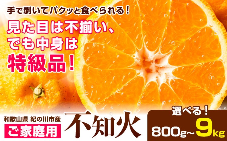 
                  ご家庭用 不知火 選べる 内容量 約800g 約4.5kg 約9kg《2027年2月下旬-4月中旬頃出荷》たっぷり しらぬい ご家庭用 柑橘 柑橘類 ミカン 蜜柑 果物 フルーツ 和歌山県 紀の川市 甘い ジューシー デコポン と同品種 しらぬい 訳あり 規格外 訳あり 傷
                
