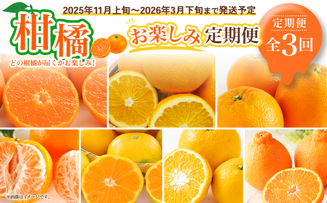 【全3回定期便】春冬限定 柑橘 お楽しみ定期便 みかん ポンカン 不知火等 ／ 早生みかん 中生みかん 甘夏 八朔 伊予柑 果物 フルーツ 長崎 九州 定期便 【2026年11月上旬～2027年3月下旬迄発送予定】