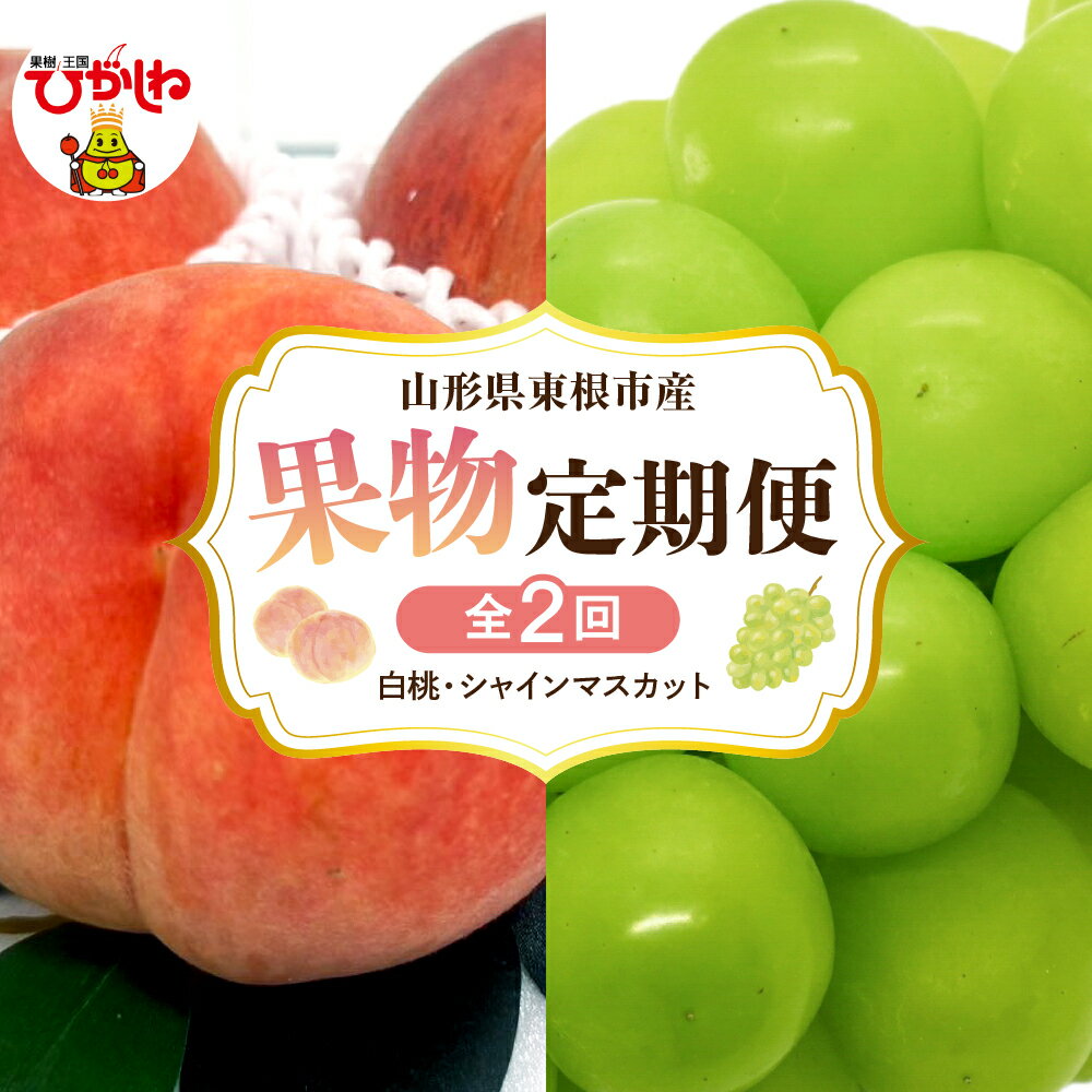 【ふるさと納税】［定期便 全2回］ 2026年 先行予約 桃 シャインマスカット 果物定期便 ( 玉数、房数お任せ ) もも 白桃 ぶどう マスカット フルーツ 果物 くだもの お取り寄せ グルメ ご当地 特産 産地 直送 送料無料 山形 東根市