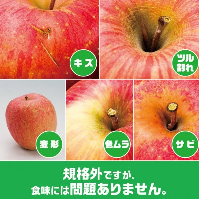 【2025年9月末〜発送開始】内容量　約10Kg　訳ありりんご　早生ふじ　24〜46個入【配送不可地域：離島・沖縄県】【1333053】