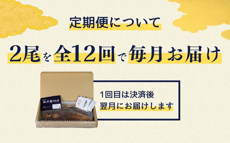 厳選 高級 青うなぎ 蒲焼 2尾 全6回 定期便　合計12尾