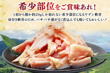 鶏肉 定期便 軟骨 若鶏 鶏軟骨 1kg 2p 3回 総計6kg [ミヤケイフード 宮崎県 美郷町 31bp0004]