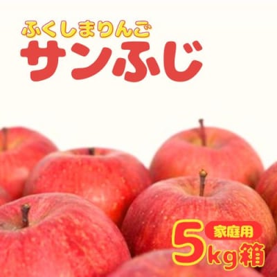 りんご「サンふじ」家庭用　5kg箱入【2024年度発送】No.2763