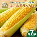 【ふるさと納税】【令和7年発送】宮崎県産とうもろこし　小さめサイズのスイートコーン「ゴールドラッシュ」7kg以上(20本以上) - トウモロコシ スイートコーン とうきび 新鮮 九州産 宮崎県産 川南町産 朝どれ 農家直送 送料無料 D03903