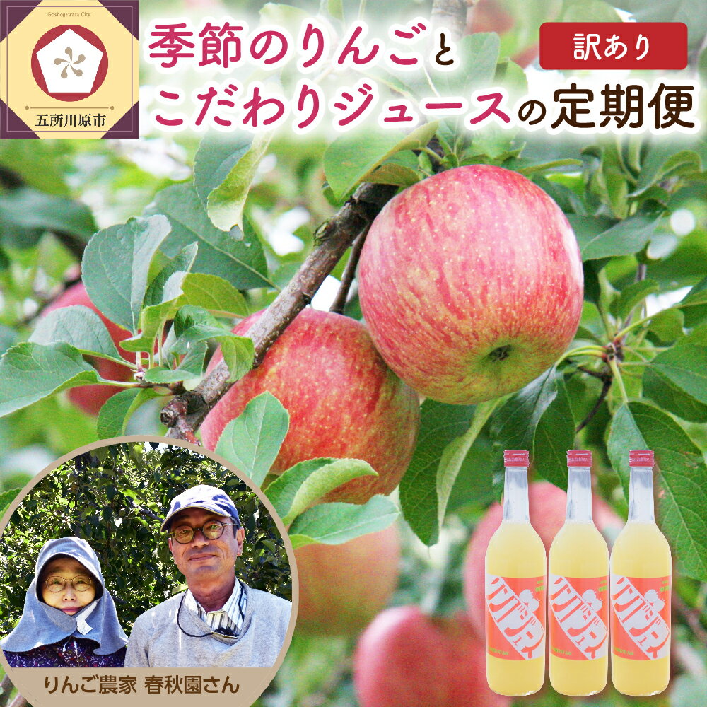 【ふるさと納税】【 2025年 先行予約 9月 発送開始】 （ 訳あり ） りんご リンゴジュース 定期便 4回 セット 【 果汁 飲料 サンふじ 早生ふじ サンつがる 青森 林檎 リンゴ 送料無料 定期 フルーツ 】