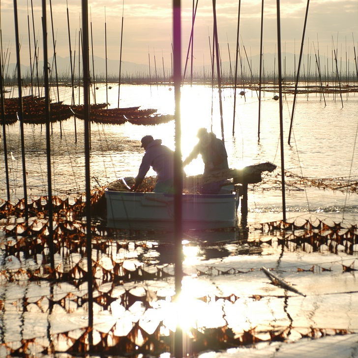 佐賀のり個包装詰合せB：B105-003_イメージ4