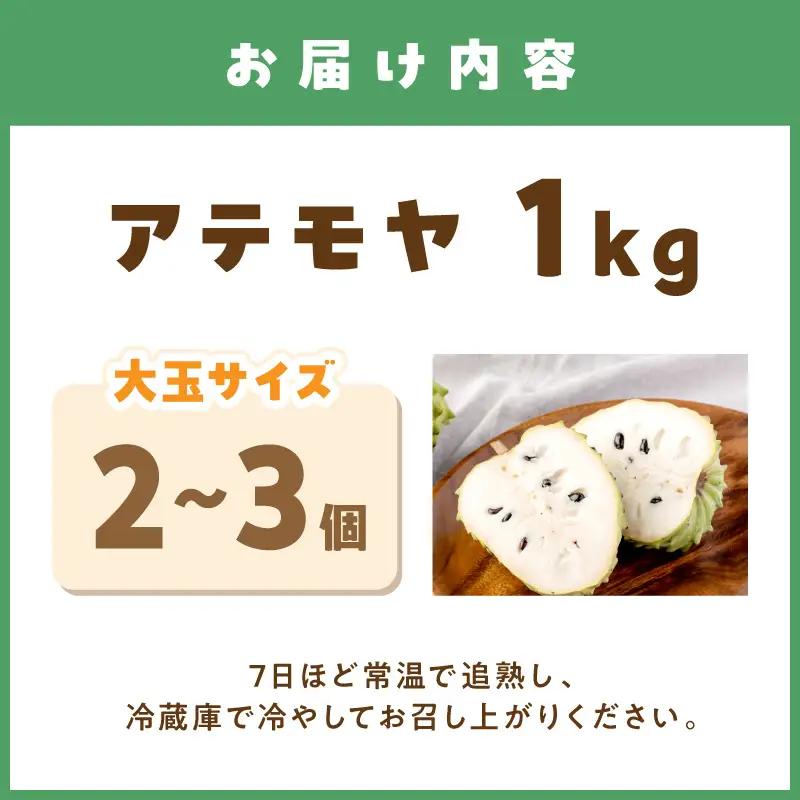 【1214】御坊市産　南国フルーツ　アテモヤ2～3個大玉（1㎏程度）≪先行予約≫2026年10月中旬頃から順次発送予定