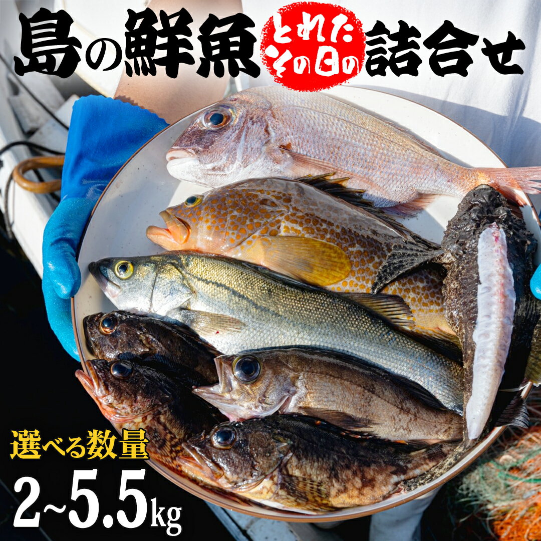 【ふるさと納税】大崎上島 鮮魚 セット 【 選べる内容量 】 詰合せ 詰め合わせ 新鮮 おまかせ 魚 刺身 煮魚 天ぷら