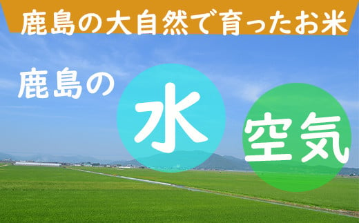 S-3 《12ヶ月毎月お届け》鹿島市産夢しずく　白米１０ｋｇ定期便